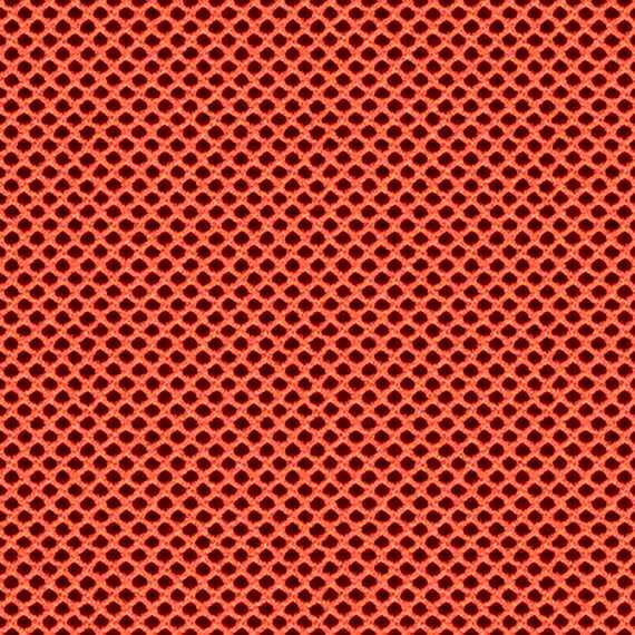 Velocity Vel01 Rapid